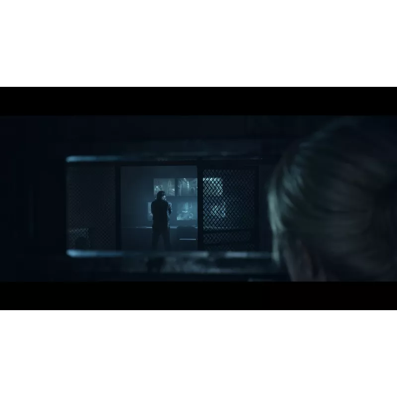 Sony Until Dawn Standard Multilingual PlayStation 5