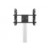 Single Screen Public Display Stand MULTIBRACKETS M – Black, supports up to 60 kg, VESA 200x200–800x400