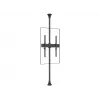 Flat panel mount arm Multibrackets M Pro Series Fixed Arms 600 mm, steel, black, pack of 2