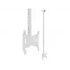 Ceiling Mount Multibrackets M Public Small Single White 1500 14 kg 10-32 inch