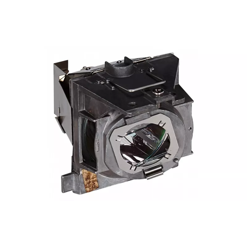 Viewsonic RLC-109 projector lamp