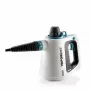 Ariete 4137/00 Portable steam cleaner 0.25 L 1050 W White, Light Blue
