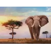 Clementoni African Sunset Jigsaw puzzle 500 pc(s) Animals