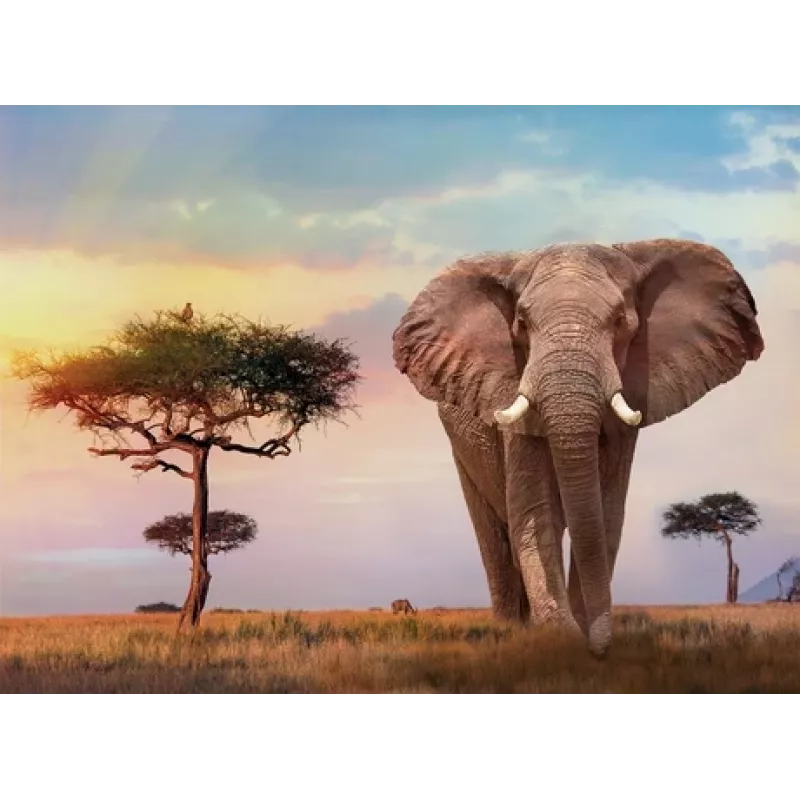 Clementoni African Sunset Jigsaw puzzle 500 pc(s) Animals