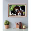 Clementoni High Quality Collection Close Together Jigsaw puzzle 500 pc(s) Animals