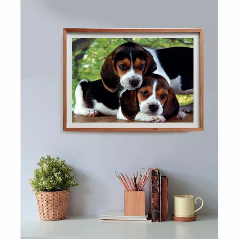 Clementoni High Quality Collection Close Together Jigsaw puzzle 500 pc(s) Animals