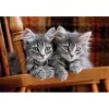 Clementoni High Quality Collection 35580 puzzle Jigsaw puzzle 500 pc(s) Animals