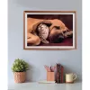 Clementoni High Quality Collection 35583 puzzle Jigsaw puzzle 500 pc(s) Animals