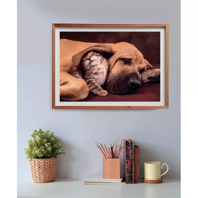 Clementoni High Quality Collection 35583 puzzle Jigsaw puzzle 500 pc(s) Animals