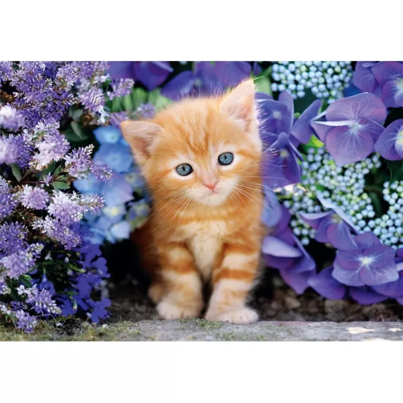 Clementoni High Quality Collection 35585 puzzle Jigsaw puzzle 500 pc(s) Animals
