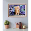 Clementoni High Quality Collection 35585 puzzle Jigsaw puzzle 500 pc(s) Animals
