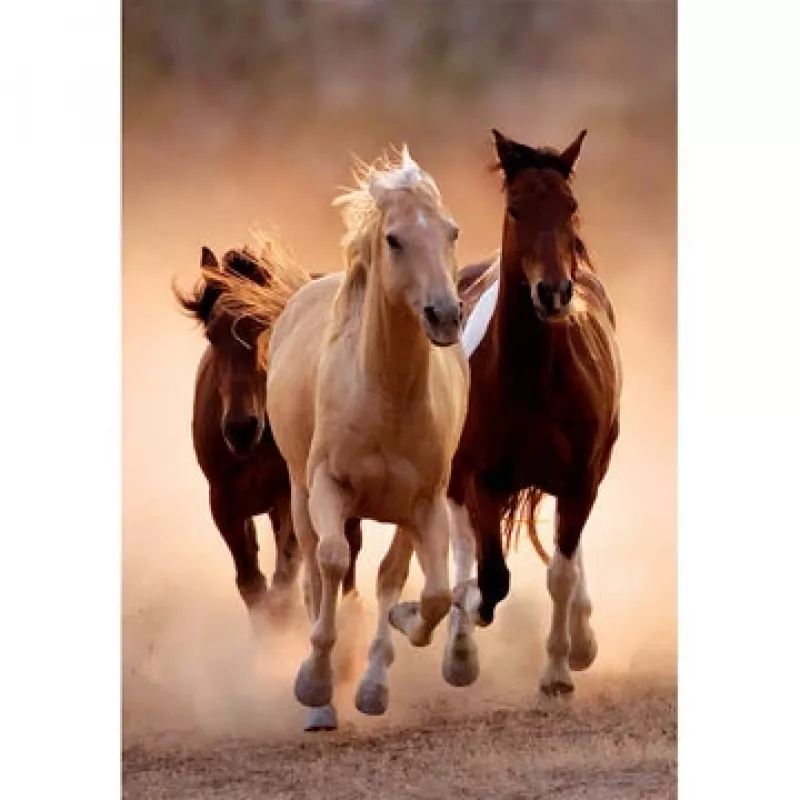 Clementoni Running Horses Jigsaw puzzle 1000 pc(s) Animals