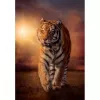 Clementoni Tiger Jigsaw puzzle 1000 pc(s) Animals