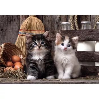 Clementoni High Quality Collection 39943 puzzle Jigsaw puzzle 1000 pc(s) Animals