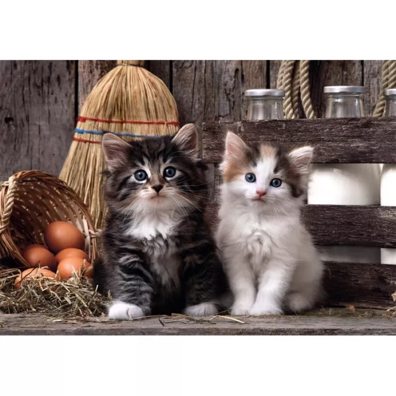 Clementoni High Quality Collection 39943 puzzle Jigsaw puzzle 1000 pc(s) Animals