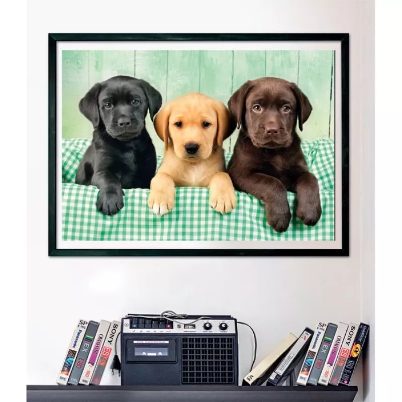 Clementoni High Quality Collection 39946 puzzle Jigsaw puzzle 1000 pc(s) Animals