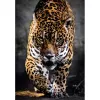 Clementoni High Quality Collection 39947 puzzle Jigsaw puzzle 1000 pc(s) Animals