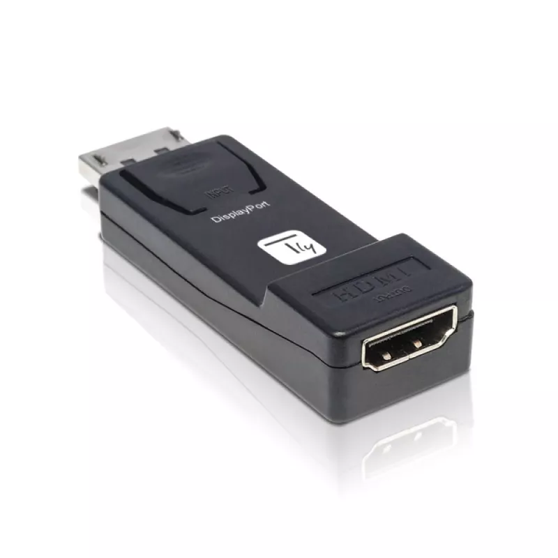 Techly IADAP DSP-2124K3 video signal converter Passive video converter