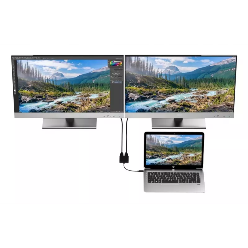 Techly IADAP USBC-HDMI2T4K video cable adapter 0.15 m USB Type-C 2 x HDMI Black