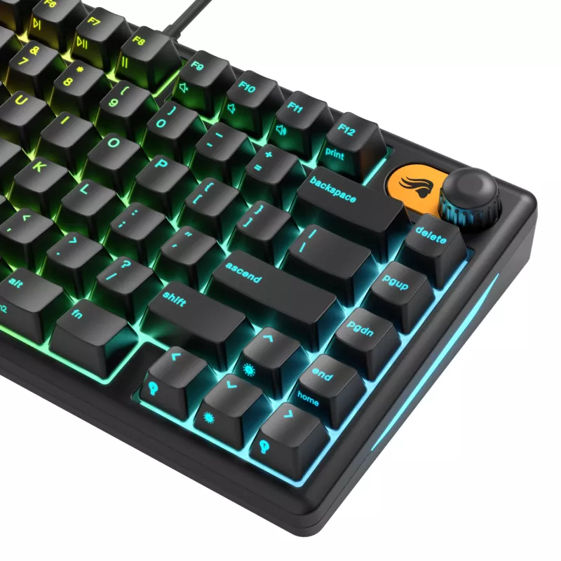 Glorious Gaming GMBK 75% keyboard USB QWERTY US English Black
