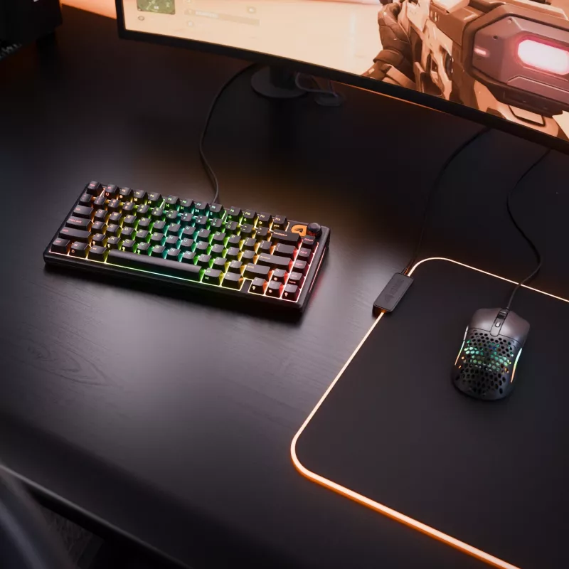 Glorious Gaming GMBK 75% keyboard USB QWERTY US English Black