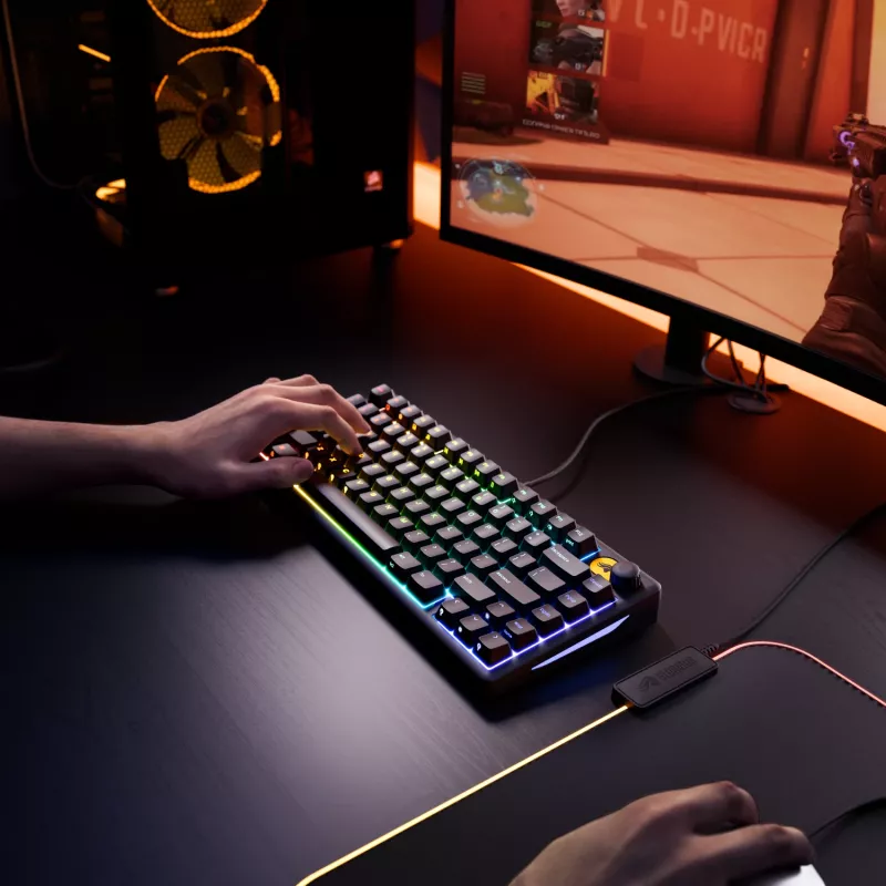 Glorious Gaming GMBK 75% keyboard USB QWERTY US English Black