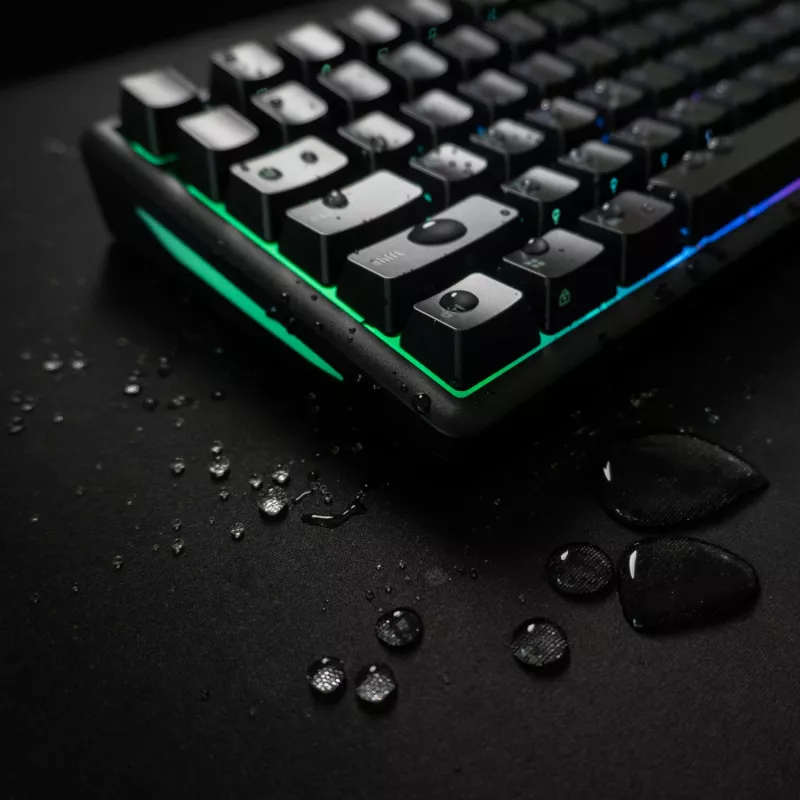 Glorious Gaming GMBK 75% keyboard USB QWERTY US English Black
