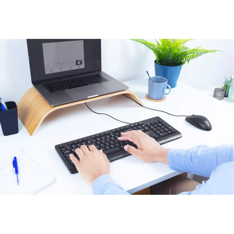 Trust Primo keyboard Universal USB AZERTY Belgian Black