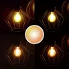 Trust 71287 smart lighting Smart bulb Wi-Fi