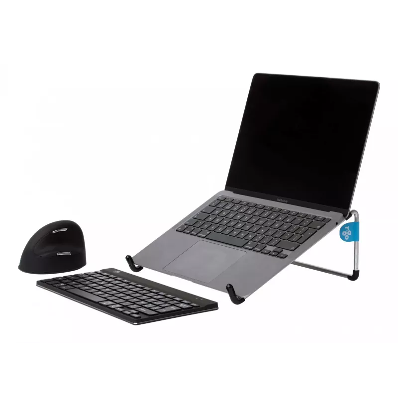 R-Go Tools R-Go Steel Basic Laptop Stand, silver, Silver, Steel, 25.4 cm (10 inch), 55.9 cm (22 inch), 5 kg, 0 - 110 mm