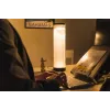 BakkerElkhuizen EnergyByLight circadian desk lamp