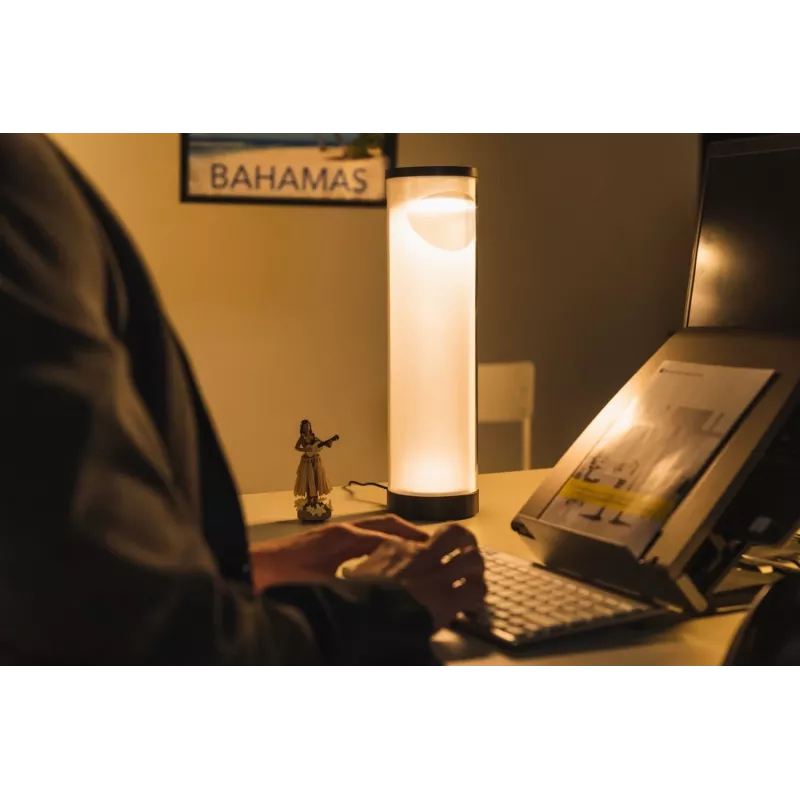 BakkerElkhuizen EnergyByLight circadian desk lamp