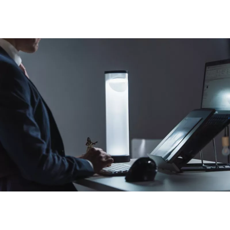 BakkerElkhuizen EnergyByLight circadian desk lamp