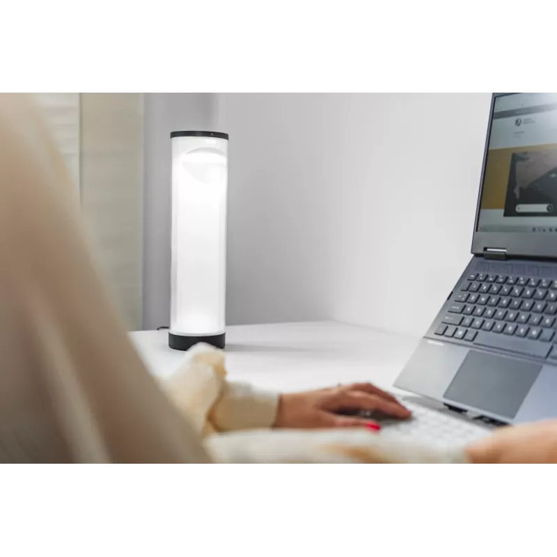BakkerElkhuizen EnergyByLight circadian desk lamp