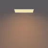 Philips Functional Panel Ceiling Ceiling Light 36 W Rectangular