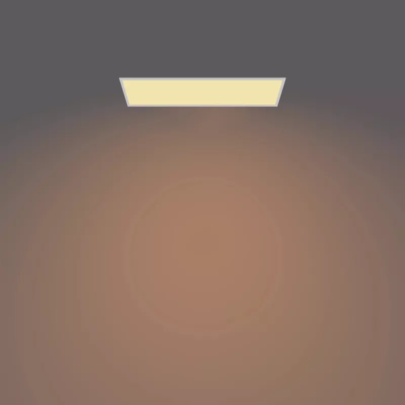 Philips Functional Panel Ceiling Ceiling Light 36 W Rectangular
