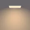 Philips Functional Panel Ceiling Ceiling Light 36 W Rectangular