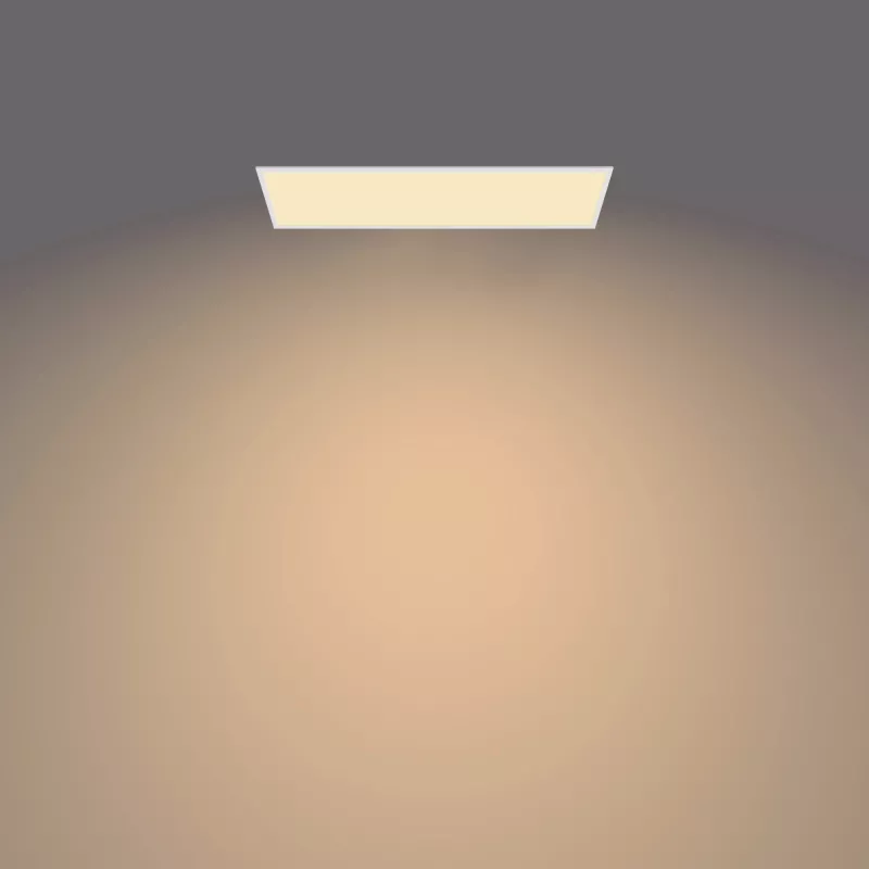 Philips Functional Panel Ceiling Ceiling Light 36 W Rectangular
