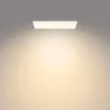 Philips Functional Panel Ceiling Ceiling Light 36 W Rectangular