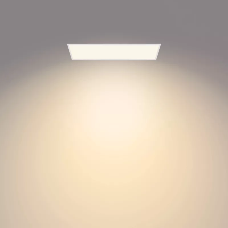 Philips Functional Panel Ceiling Ceiling Light 36 W Rectangular