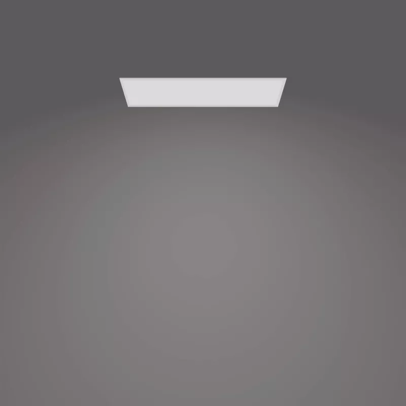 Ceiling light Philips Functional Panel 36 W LED rectangular 300×1200×42 mm, white