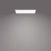 Ceiling light Philips Functional Panel 36 W LED rectangular 300×1200×42 mm, white