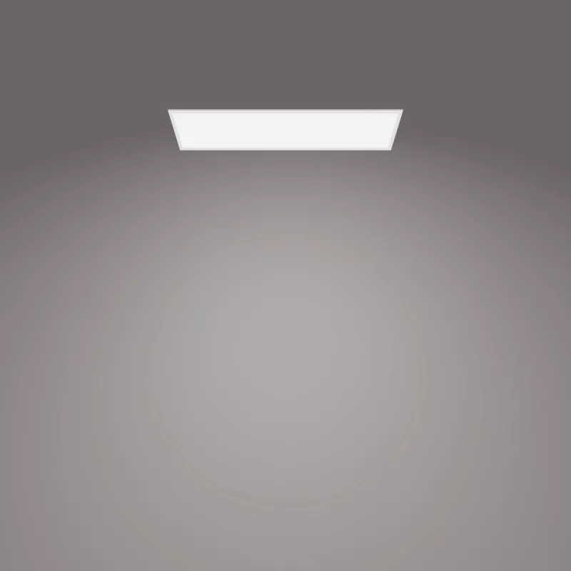 Ceiling light Philips Functional Panel 36 W LED rectangular 300×1200×42 mm, white