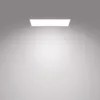 Ceiling light Philips Functional Panel 36 W LED rectangular 300×1200×42 mm, white