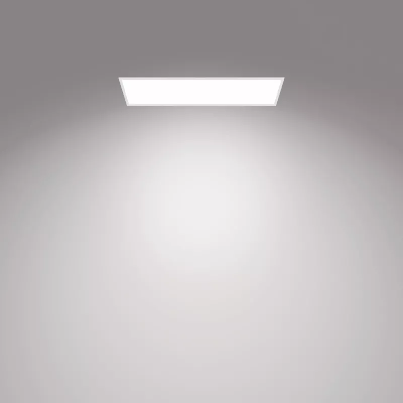 Ceiling light Philips Functional Panel 36 W LED rectangular 300×1200×42 mm, white