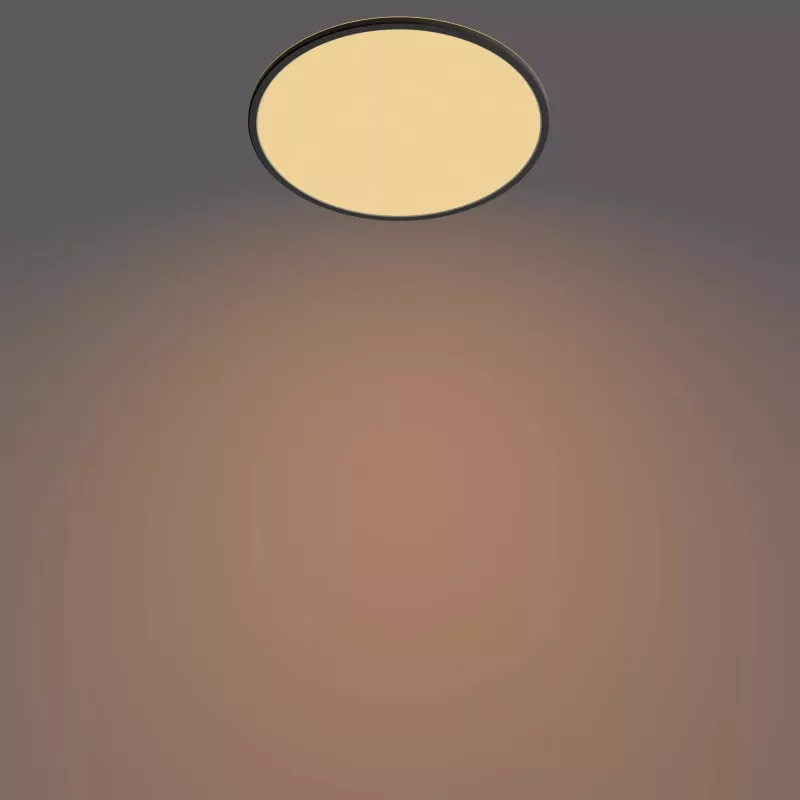Ceiling Light Philips Functional Super Slim 22 W Black LED Round