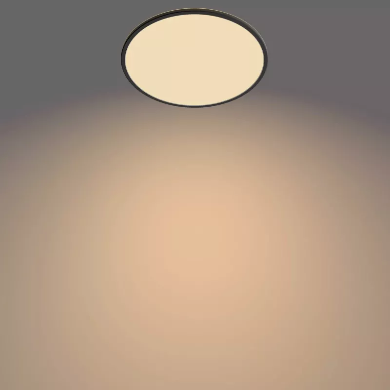 Ceiling Light Philips Functional Super Slim 22 W Black LED Round