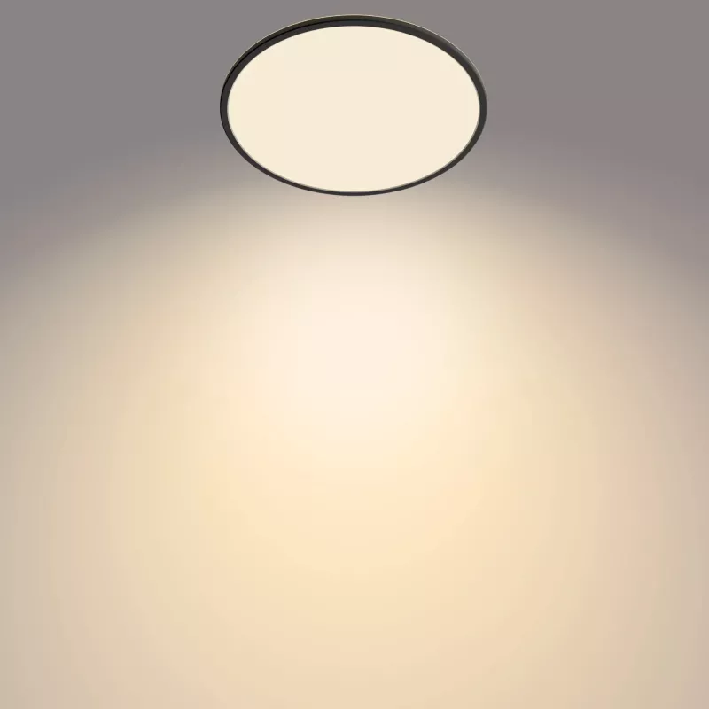 Ceiling Light Philips Functional Super Slim 22 W Black LED Round