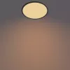 Philips Functional Ceiling Light 18W 2700K 1500 lm Dimmable Surface LED Black