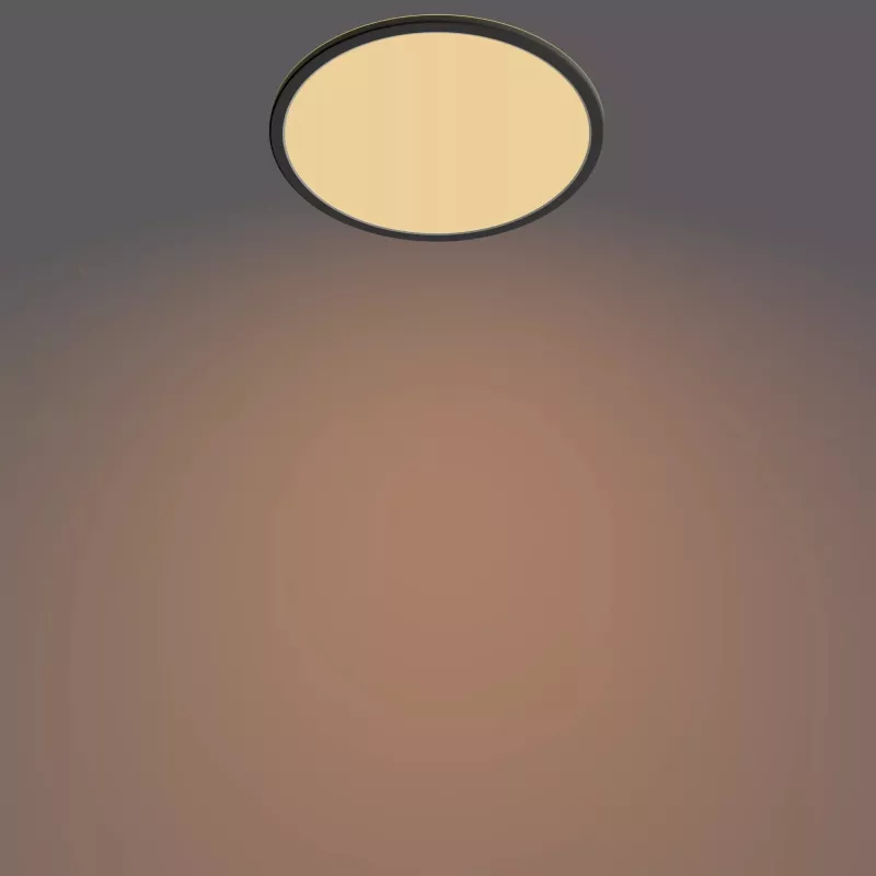 Philips Functional Ceiling Light 18W 2700K 1500 lm Dimmable Surface LED Black
